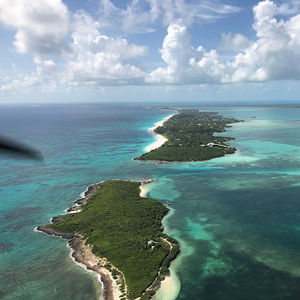 Meet your Posher, Dave